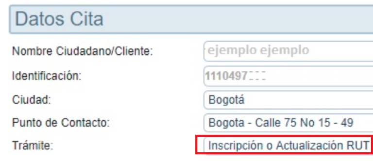Guía para actualizar el RUT en línea en 2026
