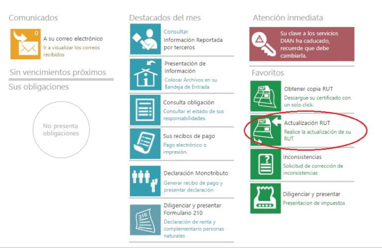 Guía para actualizar el RUT en línea en 2026