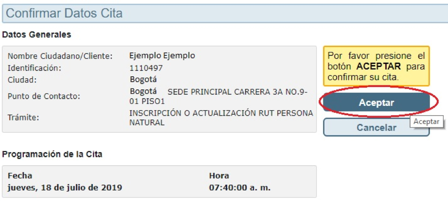 Confirmar datos de la cita
