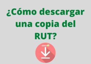 descargar una copia del rut