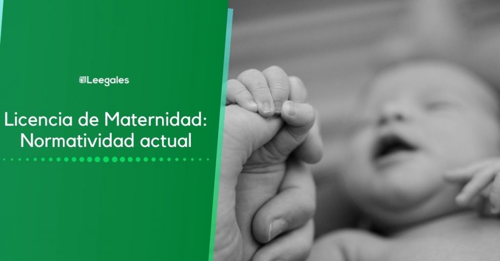 licencia de maternidad