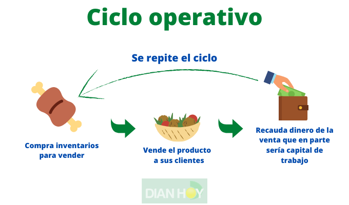 ciclo operativo