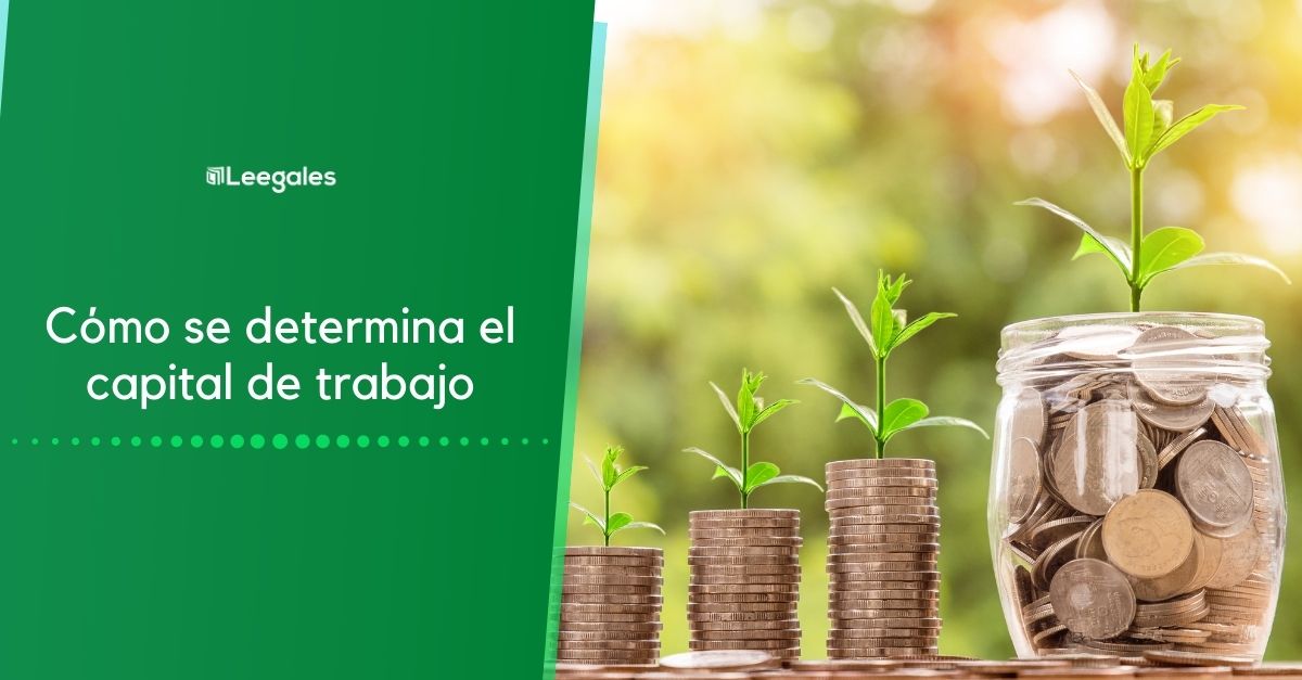 Cómo valorar una empresa detalladamente 4