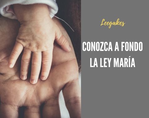 Grados de consanguinidad, parentesco y afinidad 1