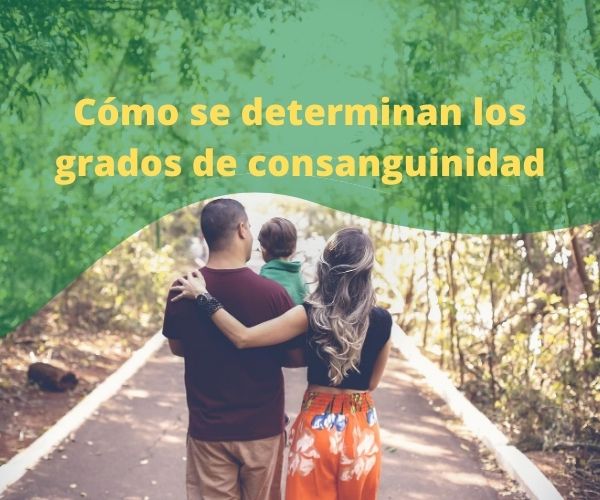 Cómo elaborar un poder de manera correcta 1