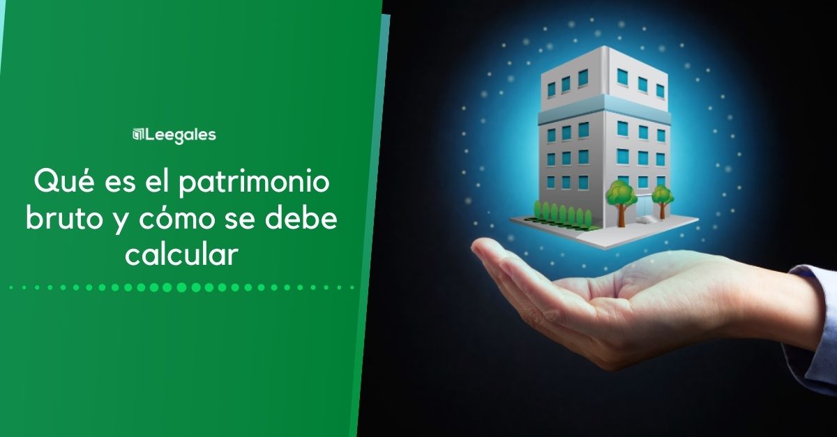 patrimonio bruto