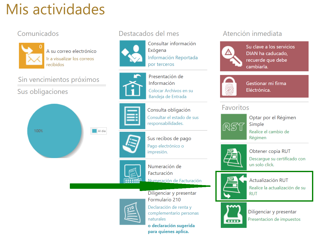 actualizar actividad económica rut