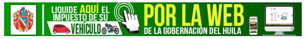 impuesto vehicular huila neiva