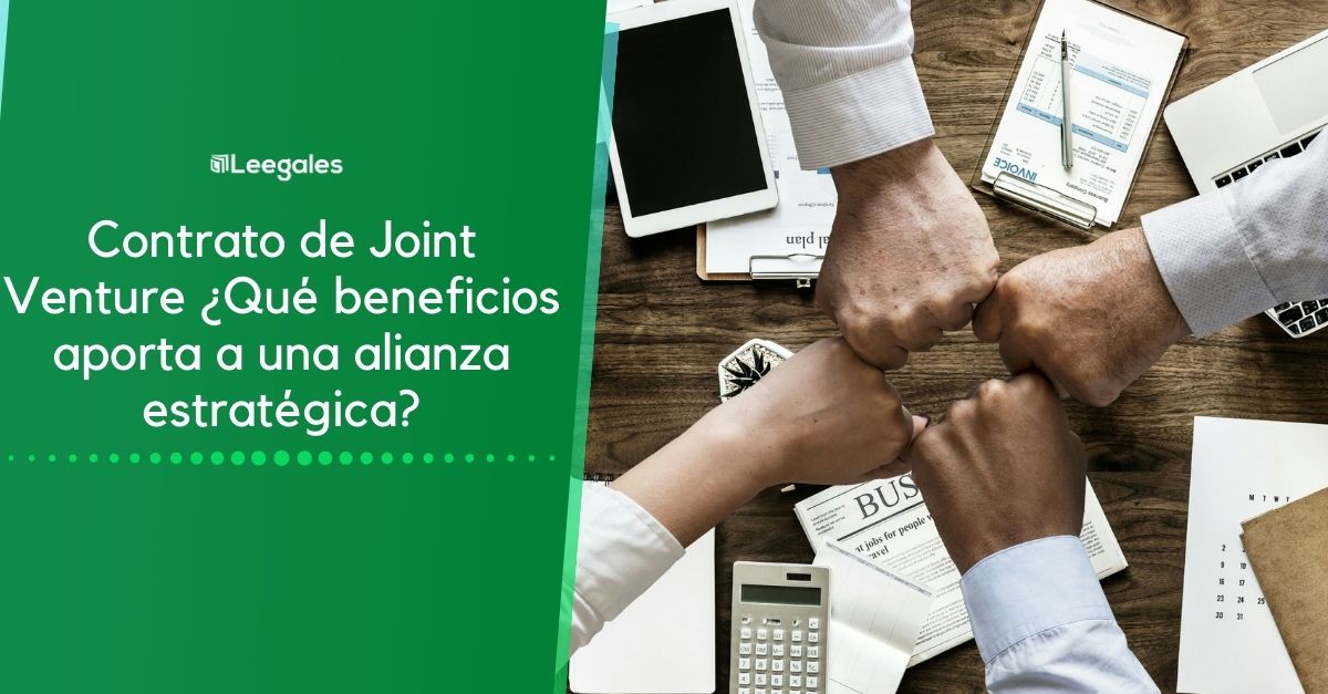 ¿Qué es un holding y cómo funciona? 1