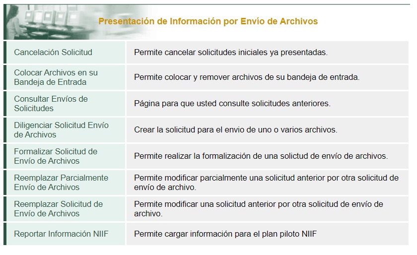 presentación de la información exógena
