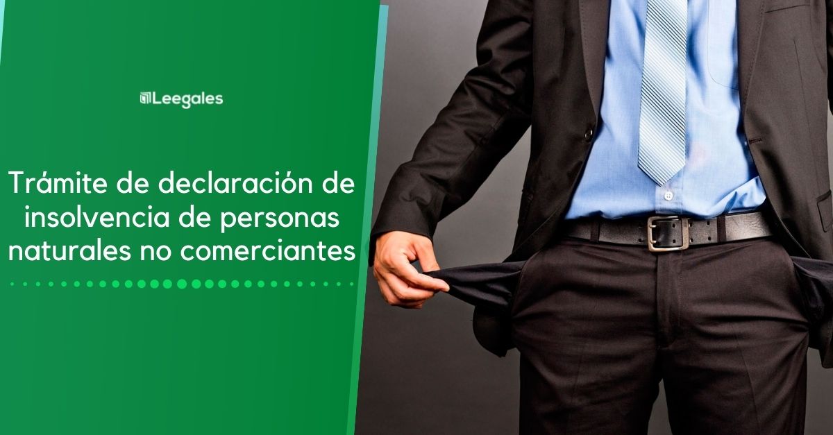 insolvencia de personas naturales no comerciantes
