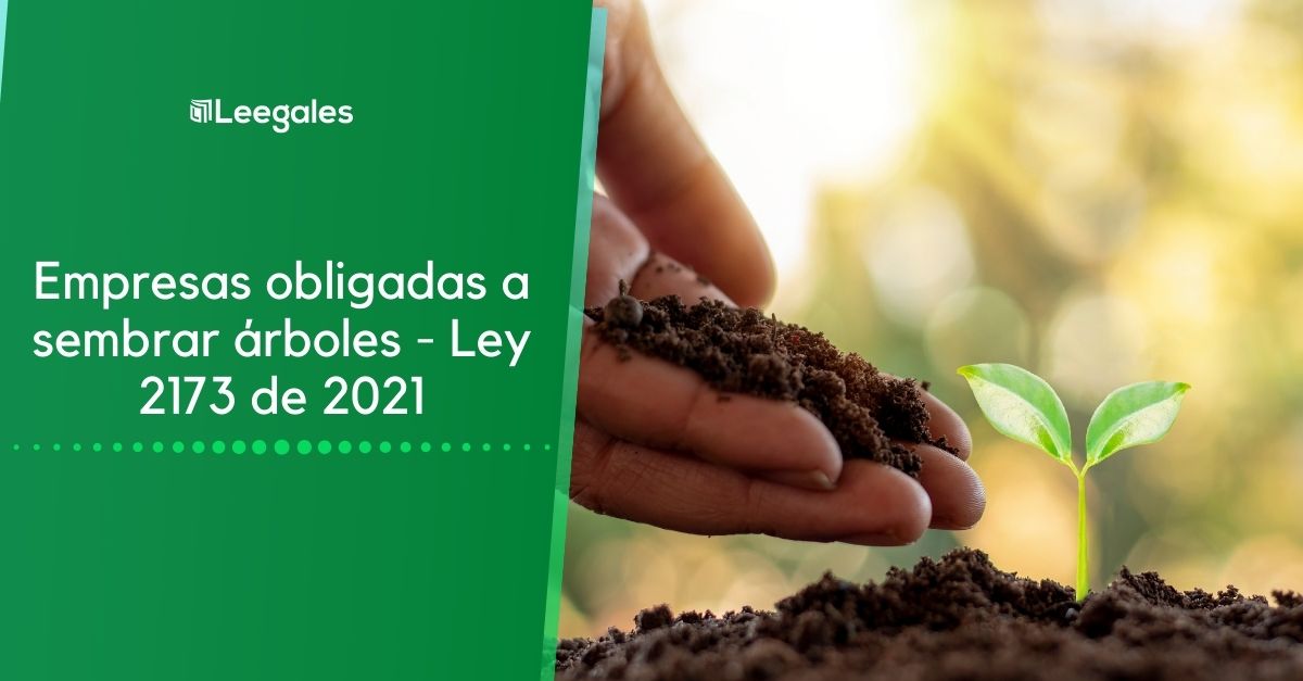 Empresas obligadas a sembrar árboles
