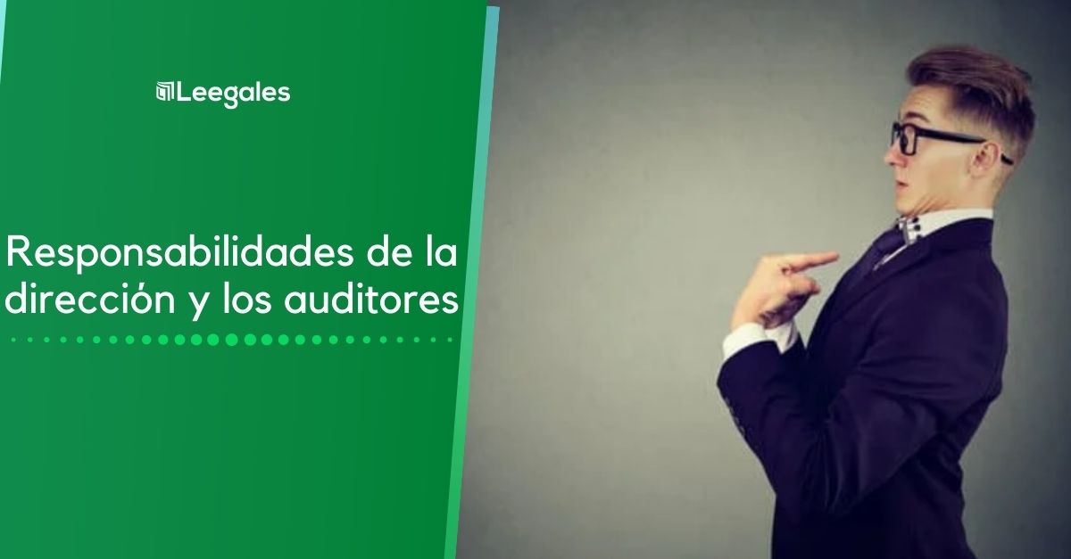 responsabilidad de auditor