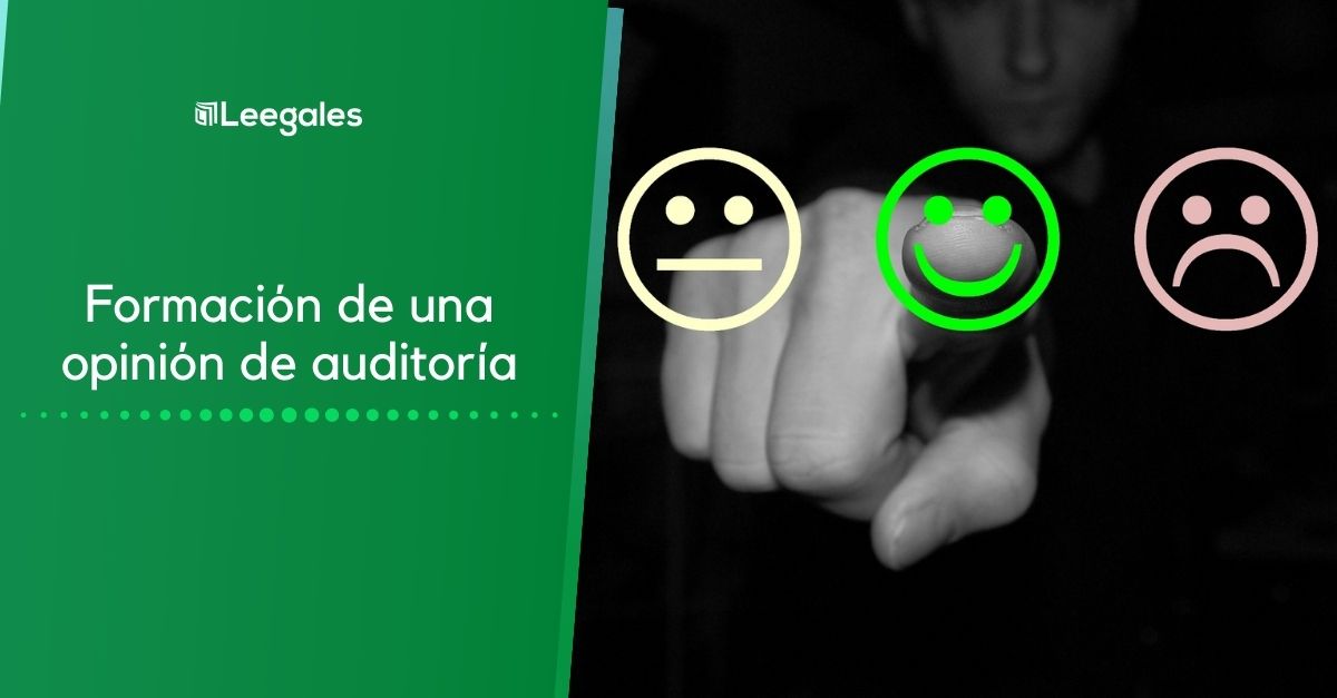 opinión del auditor