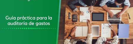 Guía práctica para la auditoría de gastos